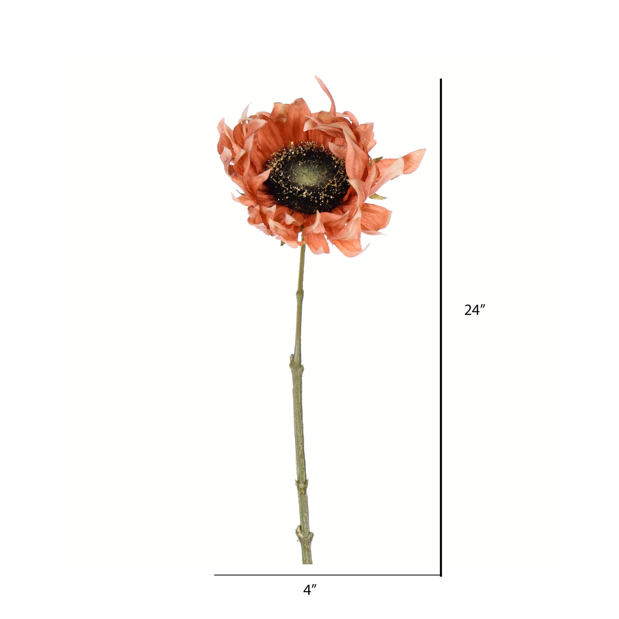 Sunflower Stem